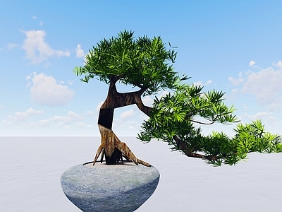 盆栽 造型盆景罗汉松 罗汉松 盆景 造型罗汉松 盆栽