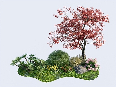 植物堆 枫树 湿阴植物堆 茉莉 绣球 风草