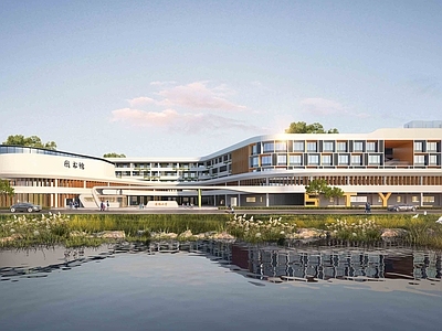 现代小学 小学 学校