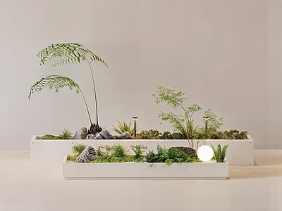 现代简约植物组合 植物堆 盆栽 绿植 植物 盆栽组合