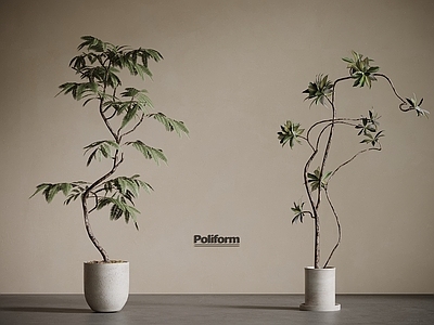 盆栽 现代绿植盆