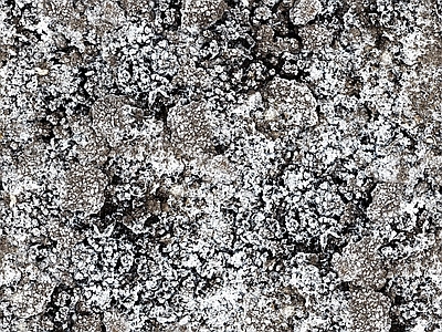 现代美式自然地面 户外地面 苔藓结冰地面 苔藓 冰