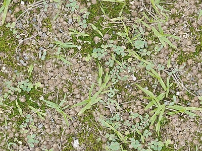现代极简自然地面 户外草皮地面 草地草坪绿地草坪