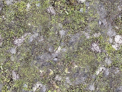 现代法式自然地面 户外草皮地面 草地草坪绿地草坪
