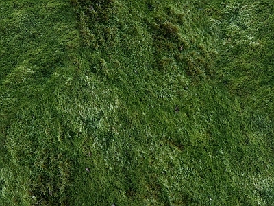 现代美式自然地面 草地草坪绿地草坪 户外草皮地面