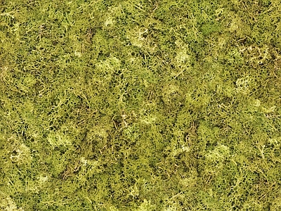 新中式法式自然地面 户外草皮地面 草地草坪绿地草坪