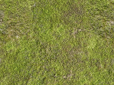 现代法式自然地面 草地草坪绿地草坪 户外草皮地面