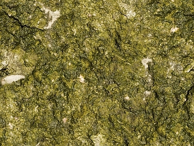 现代中式自然地面 草地草坪绿地草坪 户外草皮地面