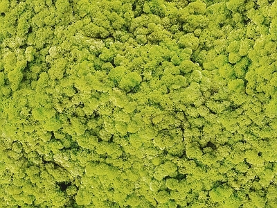 现代新中式自然地面 户外草皮地面 苔藓地面 景观地面