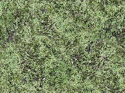 现代法式自然地面 户外草皮地面 草地草坪绿地草坪