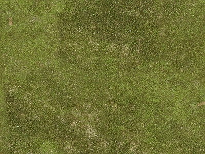 现代新中式自然地面 户外草皮地面 草地草坪绿地草坪