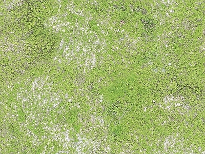 现代法式自然地面 户外草皮地面 草地草坪绿地草坪