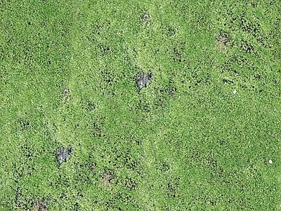 新中式法式自然地面 户外草皮地面 草地草坪绿地草坪