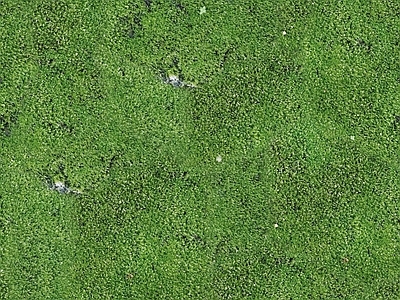 法式现代自然地面 草地草坪绿地草坪 户外草皮地面