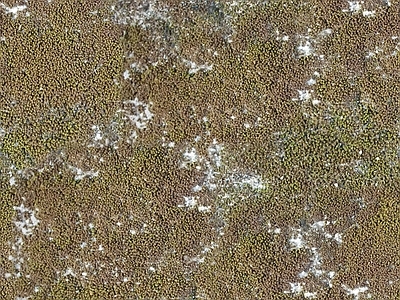 现代中式自然地面 户外草皮地面 草地草坪绿地草坪