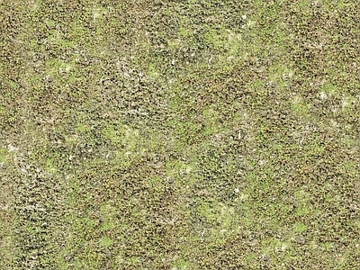 现代法式自然地面 草地草坪绿地草坪 户外草皮地面