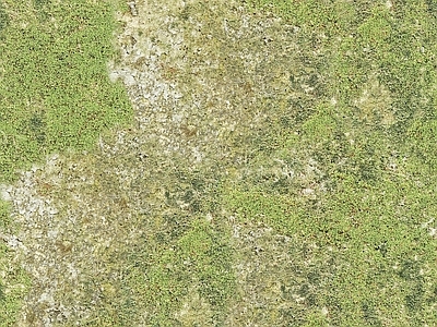 新中式法式自然地面 草地草坪绿地草坪 户外草皮地面