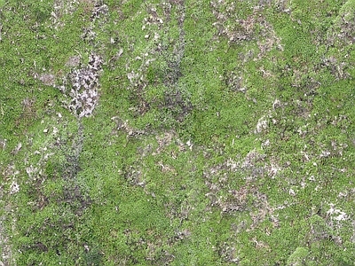 现代美式自然地面 户外草皮地面 草地草坪绿地草坪