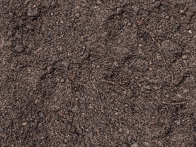 中式现代自然地面 土壤泥土地面 户外地面