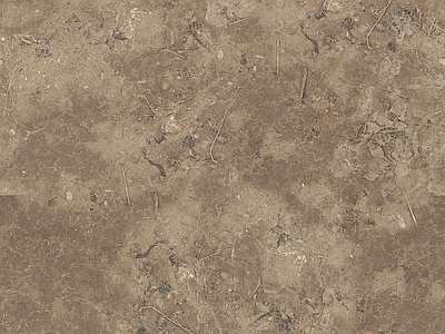 现代法式自然地面 户外地面 土壤泥土地面 土壤