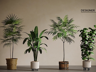 盆栽 现代中古风绿植