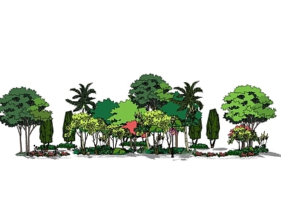 植物组合 植物群