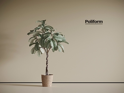 现代奶油茶桌椅 现代绿植盆栽 盆景