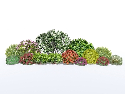 植物组合 现代 植物组团 地被 花卉 灌木