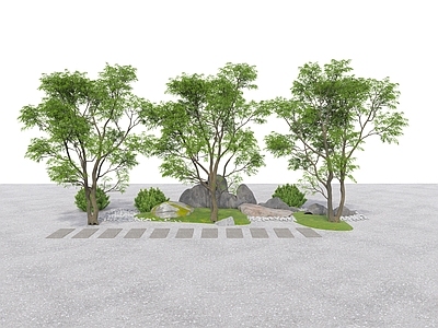 乔木 现代 乔木 造型树 点景树 景石