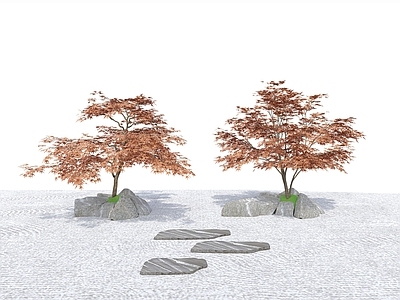 乔木 现代 小乔木 造型树 点景树 红枫