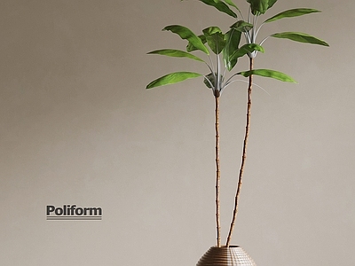 盆栽 中古风绿植