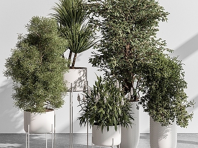 植物堆 盆栽 绿植 室内植物 花卉 花盆