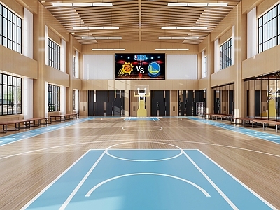 现代活动室 篮球馆 篮球 公共空间 娱乐空间