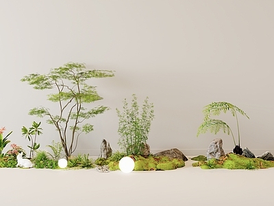 植物组合