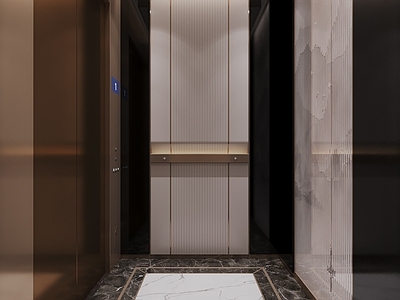 现代电梯间 现代电梯轿厢 电梯轿厢