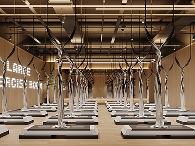 现代瑜伽室 现代瑜伽锻炼室