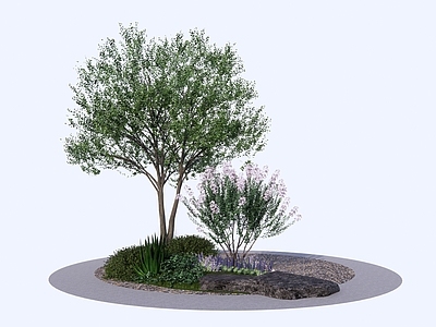 植物组合 树池植物组合 花境 网红植物 灌木 盆栽组合