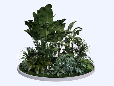 植物组合 树池植物组合 阔叶植物组团 网红植物 大叶植物 盆栽组合