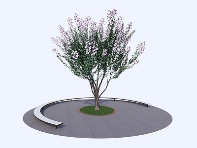 乔木 景观树 行道树 树池乔木 花树 蔷薇