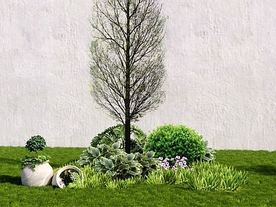 植物组合 植物组团 花境 盆栽组合 树池植物组合
