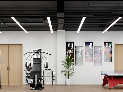 现代活动室 现代活动室 健身房