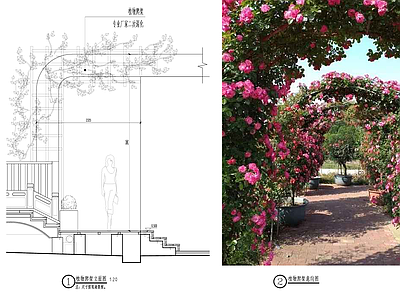 产业园景观 屋顶花园 施工图