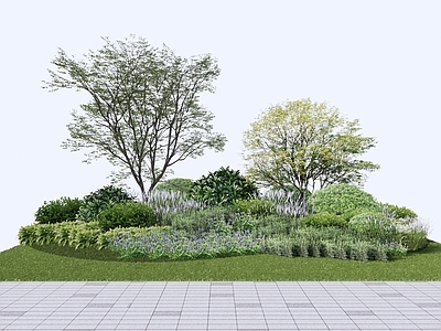 植物组合 树池植物组合 市政植物组团 乔木灌木组合 植物花境