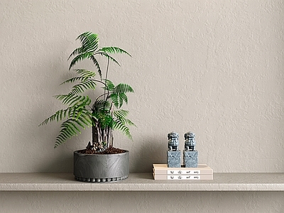 盆景 新中式盆景 花瓶花艺 蕨类植物 盆栽