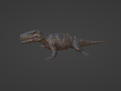 爬行类动物 两栖动物 爬行 恐龙