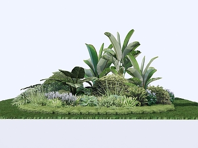 植物组合 树池植物组合 盆栽组合 网红观赏植物 阔叶植物 植物花境