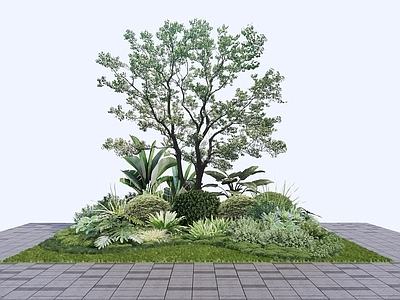植物组合 树池植物组合 乔木灌木组团 网红观赏草 植物花境 灌木球
