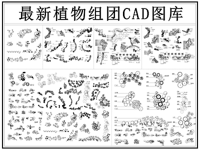 现代植物配置图库 植物组团 乔木配置 灌木配置 地被植物配置 植物搭配 施工图