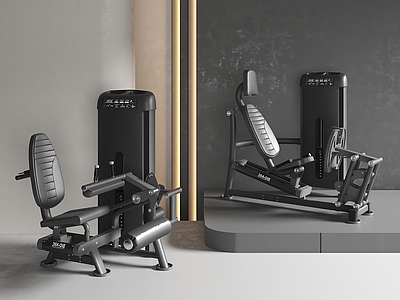 运动器材 健身器材 健身房固定器械