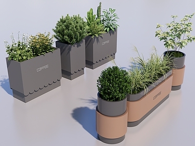 植物组合 花箱 盆栽组合 外摆花箱 植物堆 花池